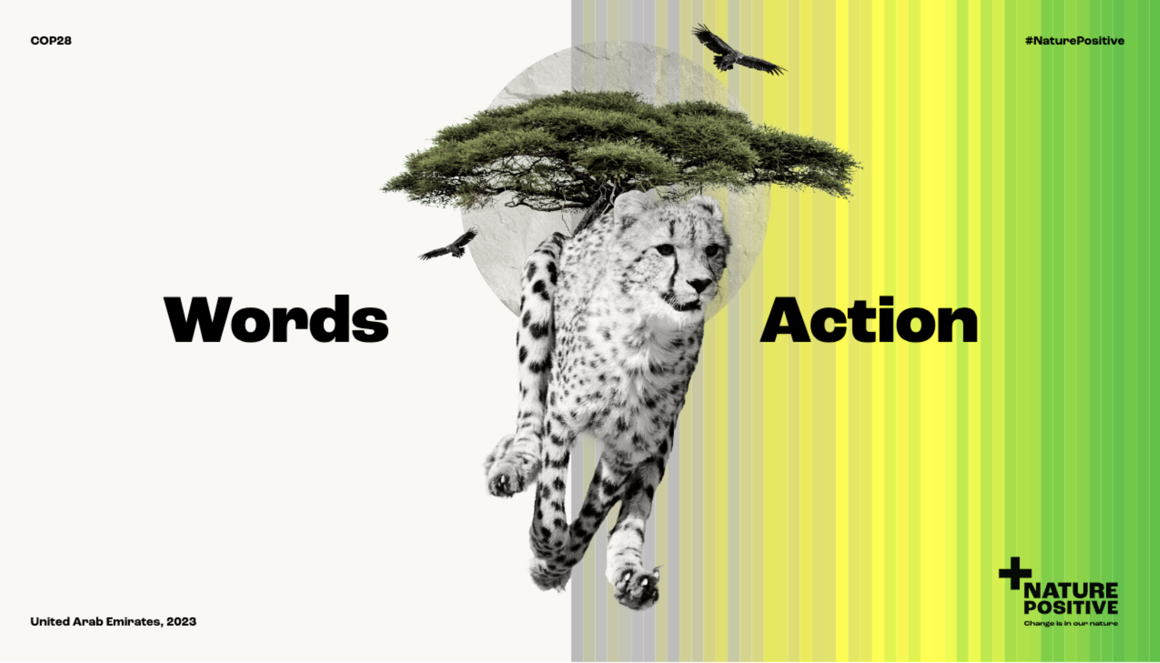 COP28 #NaturePositive poster, Cheetah running in-between the words 'Words Action'